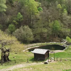 Sentiero del Malcantone - Stabio
