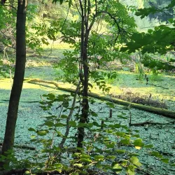 Sentiero Natura Stabio - Stabio