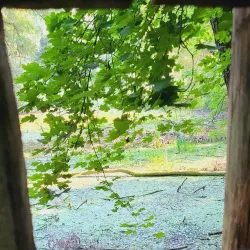 Sentiero Natura Stabio - Stabio