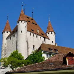 Thun Castle (Schloss Thun) - Thun