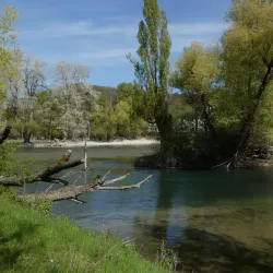 Limmat River Walks - Turgi