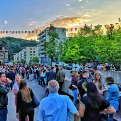 Local Markets and Festivals - Turgi