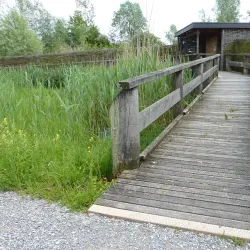 Greifensee Bird Observatory - Uster