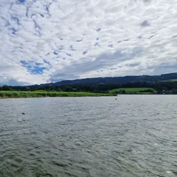 Greifensee Bird Observatory - Uster