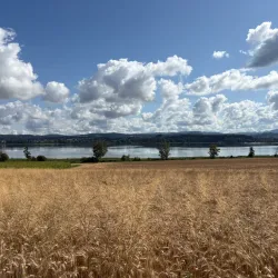 Greifensee Cycling Route - Uster