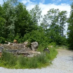 Greifensee Nature Reserve - Uster