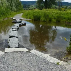 Greifensee Nature Reserve - Uster