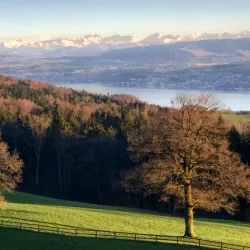 Pfannenstiel Hiking Trail - Uster