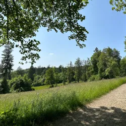 Pfannenstiel Hiking Trail - Uster