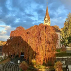 Reformierte Kirche Uster (Reformed Church) - Uster