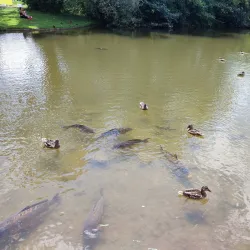 Uster City Park - Uster