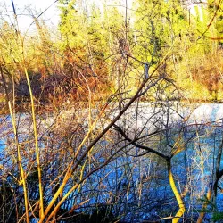 Uzwil Nature Trails - Uzwil