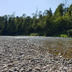 Uzwil Nature Trails - Uzwil