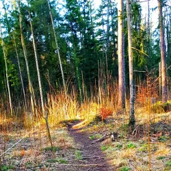 Uzwil Nature Trails - Uzwil