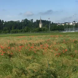 Uzwil Sports Complex - Uzwil