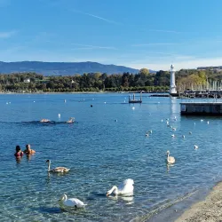 Bains des Pâquis - Vandoeuvres