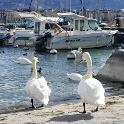 Bains des Pâquis - Vandoeuvres