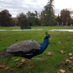 Geneva Botanical Gardens (Jardin Botanique) - Vandoeuvres