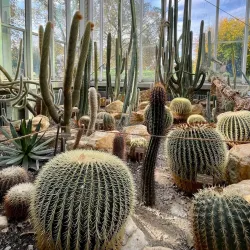 Geneva Botanical Gardens (Jardin Botanique) - Vandoeuvres