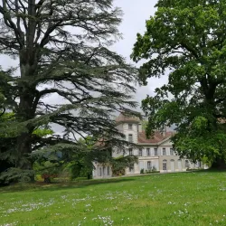 Lake Geneva (Lac Léman) - Vandoeuvres