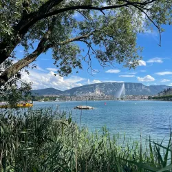 Parc de la Perle du Lac - Vandoeuvres