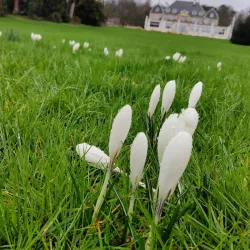 Parc des Eaux-Vives - Vandoeuvres