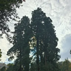 Parc des Eaux-Vives - Vandoeuvres