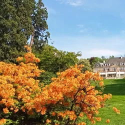 Parc des Eaux-Vives - Vandoeuvres