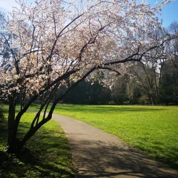 Parc des Eaux-Vives - Vandoeuvres