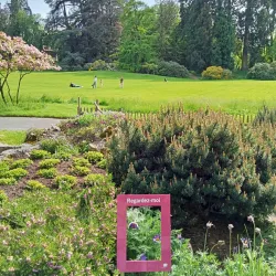 Parc des Eaux-Vives - Vandoeuvres