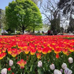 Parc de l'Indépendance - Vevey