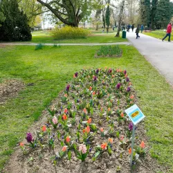 Parc de l'Indépendance - Vevey