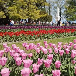 Parc de l'Indépendance - Vevey