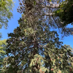 Parc de l'Indépendance - Vevey