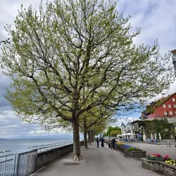 Vevey Lakeside Promenade - Vevey