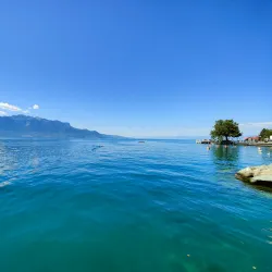 Vevey Market - Vevey