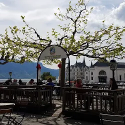 Vevey Market - Vevey
