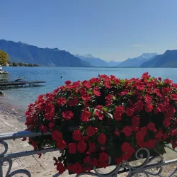 Vevey Market - Vevey