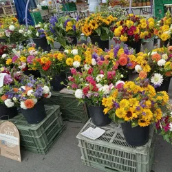 Vevey Market - Vevey