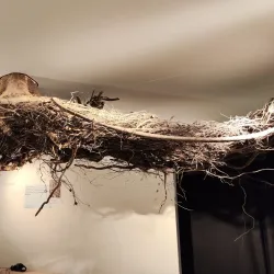 Alpine Museum of Villars - Villars