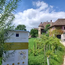 Lake Geneva (Lac Léman) - Villars