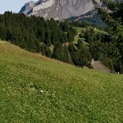 Villars Golf Club - Villars