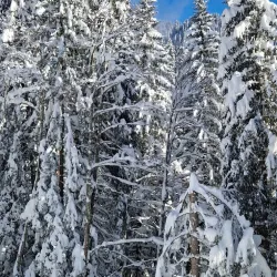 Villars Ski Resort - Villars