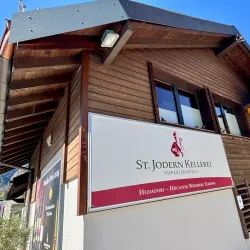 Visperterminen Vineyards - Visp