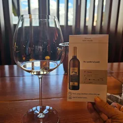 Visperterminen Vineyards - Visp