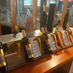 Visperterminen Vineyards - Visp