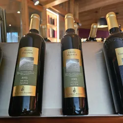 Visperterminen Vineyards - Visp