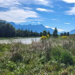 Château de Vouvry - Vouvry