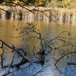 Maison de la Nature - Vouvry