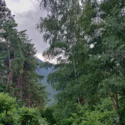 Parc de la Mairie - Vouvry